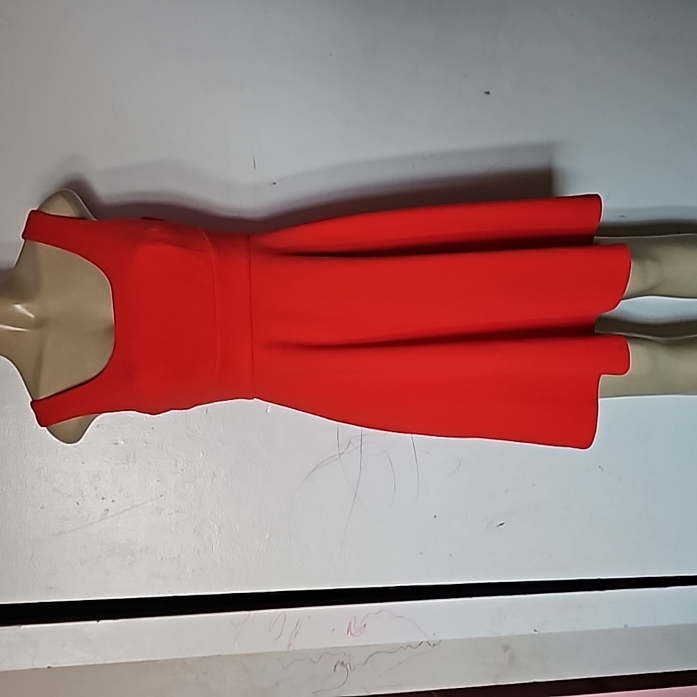 Size 8P dress from IM Collection
